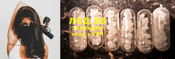дмт Вяземский