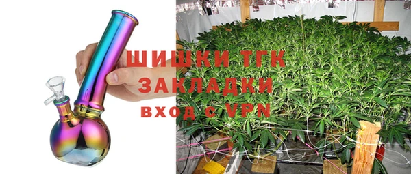 дмт Вяземский