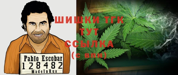 дмт Вяземский
