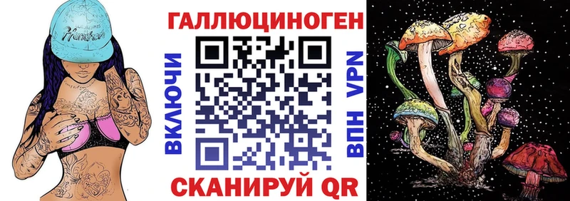 Псилоцибиновые грибы Psilocybine cubensis Сельцо